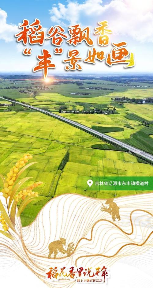 稻花香里说丰年|倒计时5天!