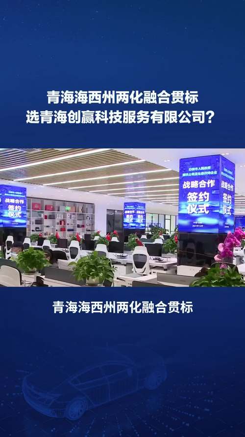 青海西宁:“政所合作”为打造世界级盐湖产业创新基地“汇智赋能”
