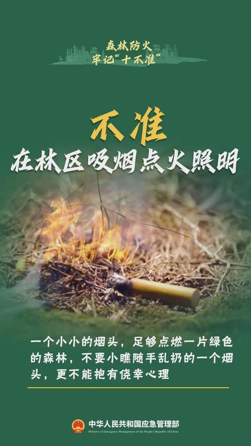 黑龙江省逊克县发布森林(草原)火险黄色预警_1