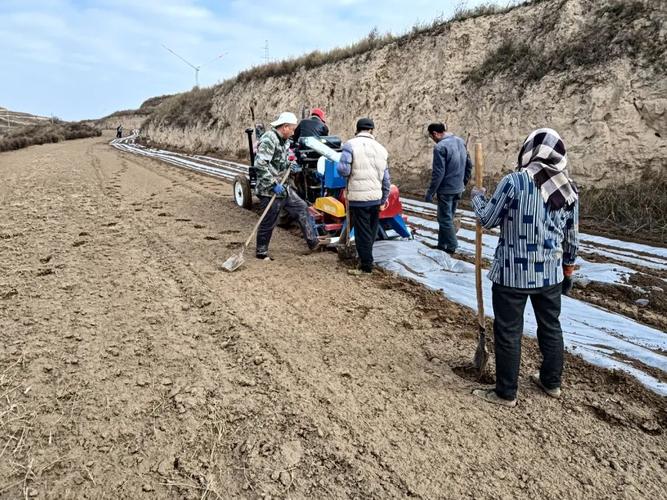 青海湟中:全力做好耕地覆膜工作