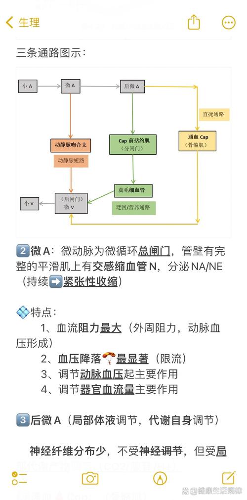 建设现代流通体系:打通“大动脉”,畅通“微循环”