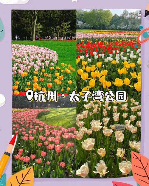 杭州春景“顶流”太子湾公园将实行预约制