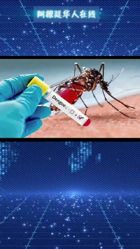 阿根廷宣布将有针对性接种登革热疫苗