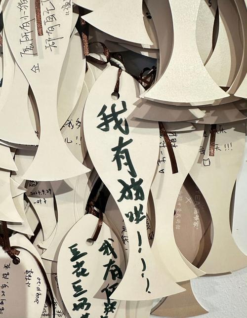 “海棠,一路平安!”爱心游客在“海棠”搁浅地写下祝福