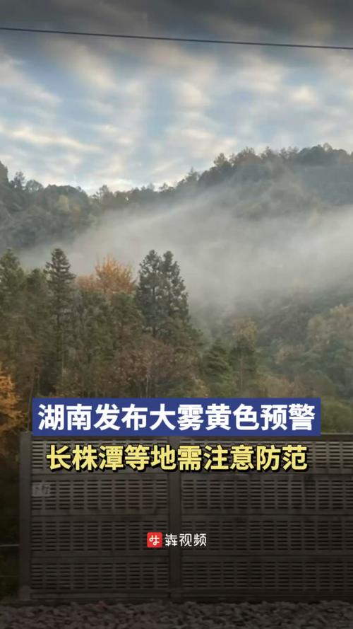湖南省武陵区发布大雾黄色预警_2