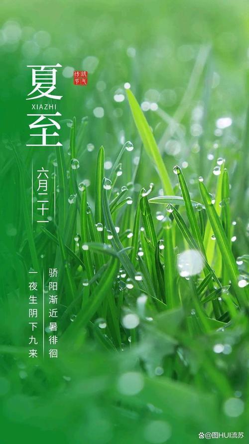 不一样的中国节气——夏至