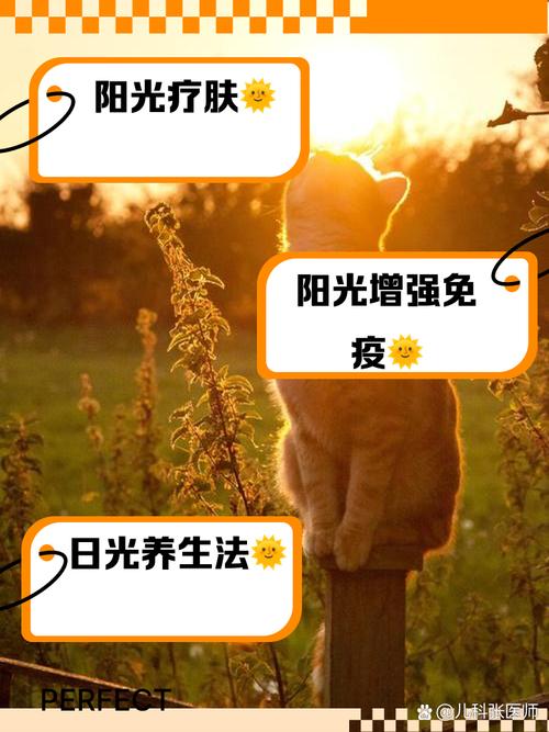 “晒太阳”还有这5大好处!这个晒太阳的「影子法则」你知道吗?