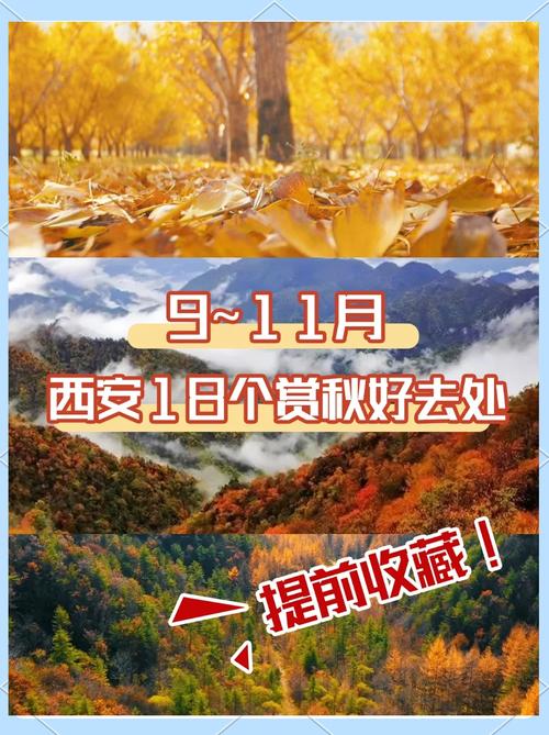 秋来晚!西安打破最晚入秋纪录 后天起强冷空携风雨影响陕西