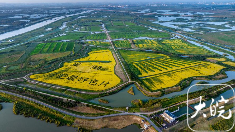 合肥跻身“国际湿地城市”后这一年