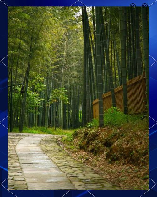 高质量发展调研行|我在新时代富春山居图里看风景