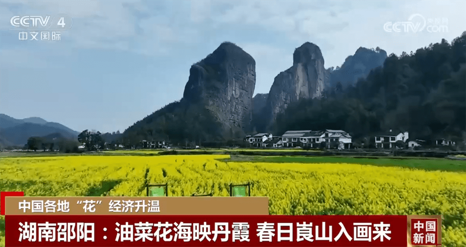 “以花为媒”“以花入馔”推动农文旅融合 春日经济“热辣滚烫”活力旺