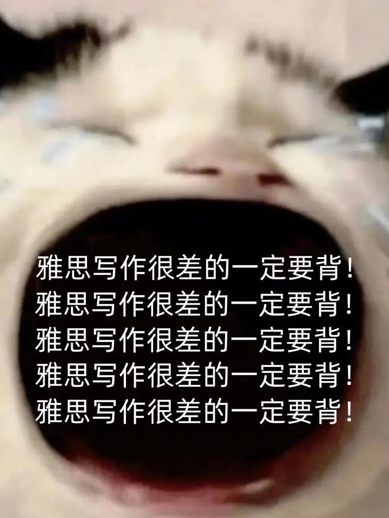 鼻子酸了!“雅思组合”发文