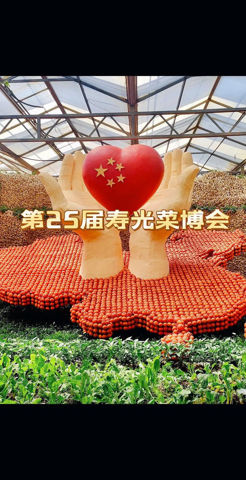 种菜也可以很艺术!蔬菜博物馆、休闲农场等齐聚 菜博会喊你来“逛吃”