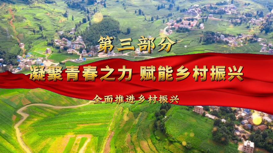 旅居青年为千年古县注入青春活力