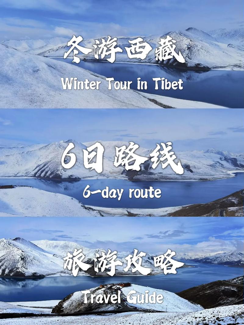 西藏“琪”遇Vlog：漫步在日光城的冬日暖阳里