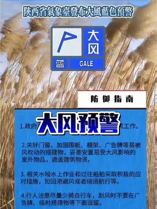 陕西省王益区发布大风蓝色预警_4